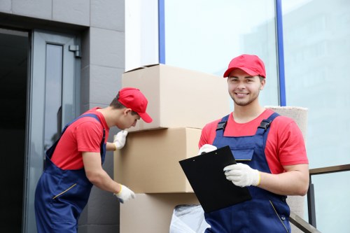 Manager checking documents related to a removals complaint