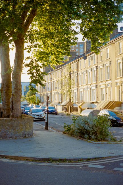 A tree with a thick trunk and lush green foliage overhangs a residential street in Enfield, with rows of terraced houses featuring bay windows and cream-colored facades. Parked cars line the curb, including a silver sedan and a dark hatchback, while some vehicles are partially visible behind bushes and around corners. The pavement is clean with a few small plants and shrubs near the curb, and a street sign is mounted on a pole next to the tree. In the background, modern high-rise buildings can be seen, indicating an urban setting. The scene is illuminated by warm sunlight, creating a daytime atmosphere suitable for local house removals or furniture transport planning, as indicated by the context of Removal Companies Enfield and the page about moving tips.